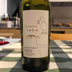 Vin des Potes Rouge - Château De Piote - Virginie Aubrion 