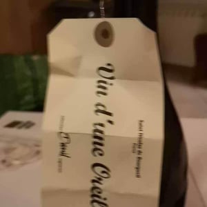 Vin d'Une Oreille - Domaine Sébastien David - Sébastien David 