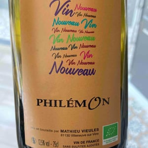 Vin Nouveau - Domaine Philémon - Mathieu Vieules -2022