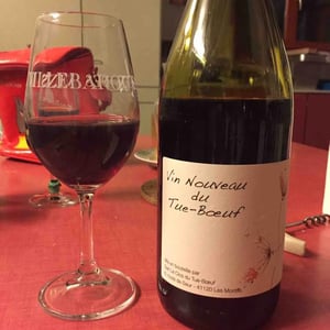 Vin Nouveau du Tue-Boeuf - Clos du Tue-Bœuf - zoe-louise-thierry-puzelat