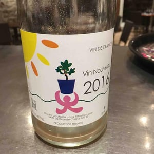 Vin Nouveau - Domaine de la Grande Colline - Hirotake Ooka 