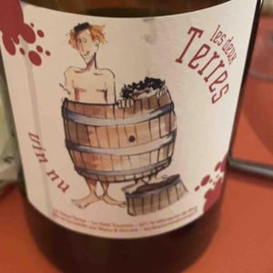 Vin Nu Blanc - Les Deux Terres - vincent-fargier-emmanuel-cunin