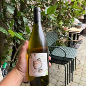 Vin Nu Blanc - Les Deux Terres - vincent-fargier-emmanuel-cunin