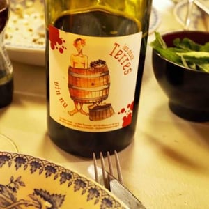 Les Deux Terres - Vincent Fargier & Emmanuel Cunin - Vin Nu Rouge