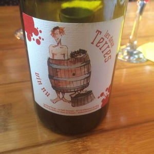 Les Deux Terres - Vincent Fargier & Emmanuel Cunin - Vin Nu Rouge