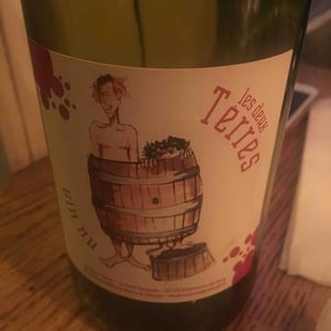 Les Deux Terres - Vincent Fargier & Emmanuel Cunin - Vin Nu Rouge