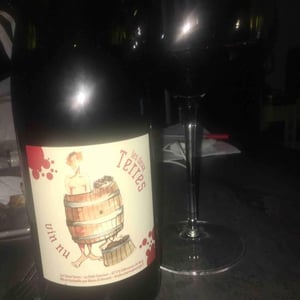 Les Deux Terres - Vincent Fargier & Emmanuel Cunin - Vin Nu Rouge