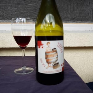 Les Deux Terres - Vincent Fargier & Emmanuel Cunin - Vin Nu Rouge
