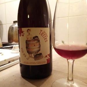 Les Deux Terres - Vincent Fargier & Emmanuel Cunin - Vin Nu Rouge