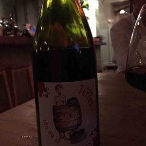 Les Deux Terres - Vincent Fargier & Emmanuel Cunin - Vin Nu Rouge