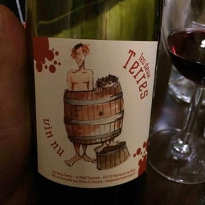 Les Deux Terres - Vincent Fargier & Emmanuel Cunin - Vin Nu Rouge