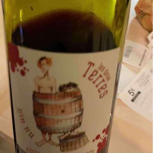 Les Deux Terres - Vincent Fargier & Emmanuel Cunin - Vin Nu Rouge