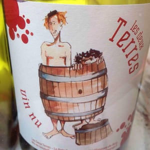 Les Deux Terres - Vincent Fargier & Emmanuel Cunin - Vin Nu Rouge