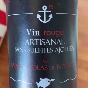 Vin rouge artisanal sans sulfites ajoutés. - Domaine du Bois Mayaud - soraya-et-ludovic-boucher -2022