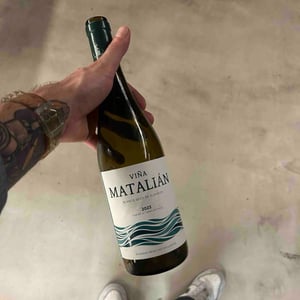 Viña Matalián - Primitivo Collantes - Primitivo Collantes -2023