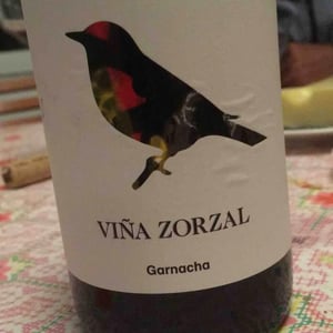 Vina Zorzal - Viña Zorzal Wines - inaki-sanz-xabier-sanz-mikel-sanz -2020