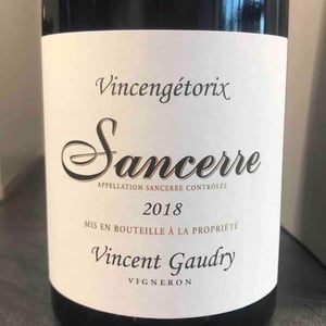 Vincengétorix - Vincent Gaudry - vincent-gaudry
