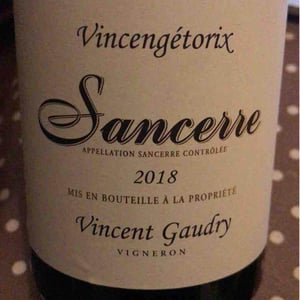 Vincengétorix - Vincent Gaudry - vincent-gaudry
