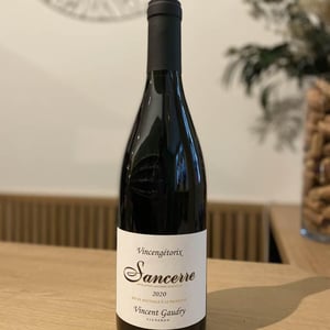 Vincengétorix - Vincent Gaudry - vincent-gaudry