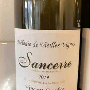 Vincengétorix - Vincent Gaudry - vincent-gaudry