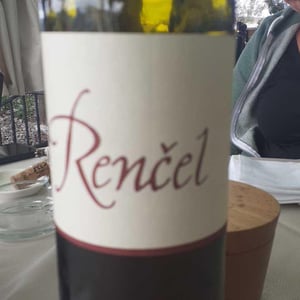 Vincent Oranž - Rencel - Josko Rencel -2017