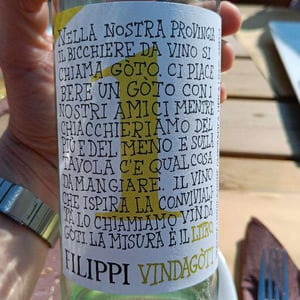 Vindagoti - Visco & Filippi Azienda Agricola - Filippo Filippi 
