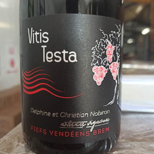Vitis Testa - Domaine des Granges - delphine-christian-nobiron -2020