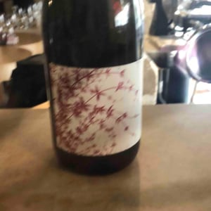 Vine Starr - Broc Cellars - chris-brockway