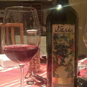 Viñedo Silvestre - Villalobos - enrique-villalobos