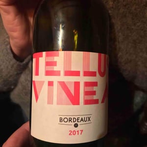 Tellus Vinea - Vignobles Pueyo - christophe-pueyo