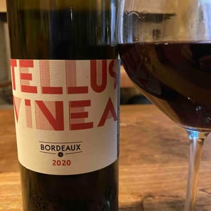 Tellus Vinea - Vignobles Pueyo - christophe-pueyo