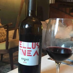 Tellus Vinea - Vignobles Pueyo - Christophe Pueyo 
