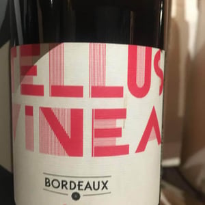 Tellus Vinea - Vignobles Pueyo - christophe-pueyo