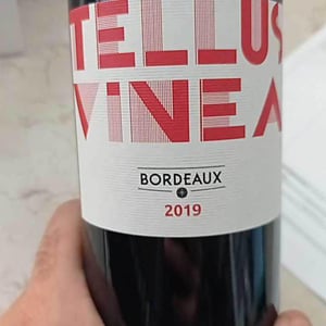 Tellus Vinea - Vignobles Pueyo - christophe-pueyo
