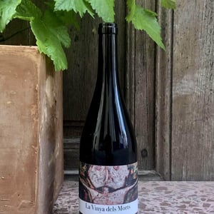 Vinya dels Morts - Vinyologia Canor - juan-tarrega