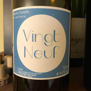 Vingt-neuf - Bertin Delatte - Nicolas Bertin & Geneviève Delatte 