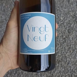 Vingt-neuf - Bertin Delatte - nicolas-bertin-genevieve-delatte