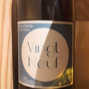 Vingt-neuf - Bertin Delatte - nicolas-bertin-genevieve-delatte