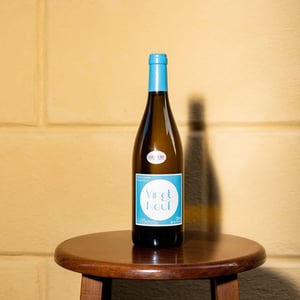 Vingt-neuf - Bertin Delatte - nicolas-bertin-genevieve-delatte