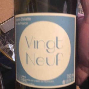 Vingt-neuf - Bertin Delatte - Nicolas Bertin & Geneviève Delatte 