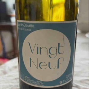 Vingt-neuf - Bertin Delatte - Nicolas Bertin & Geneviève Delatte 