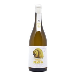 Vinha das Penicas - Bairrada - COZs -2020