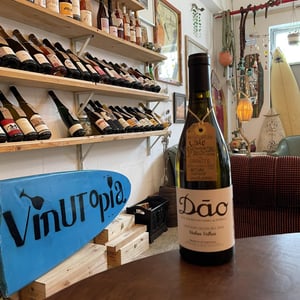 Vinhas Velhas Branco - António Madeira - antonio-madeira