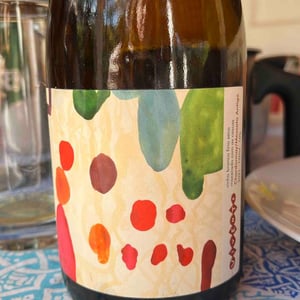 Vinho Laranja Chardonnay/ Moscato Antigo - Vivente Vinhos Vivos - diego-cartier-micael-eckert -2021