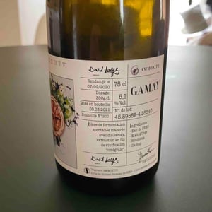 Vinifera II (X Brasserie Ammonite) - David Large - celia-rostand-et-david-large