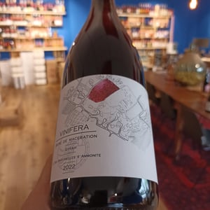Vinifera (X Brasserie Ammonite) - Domaine des Martinelles & Aloès - Domaine des Martinelles & Aloès -2022