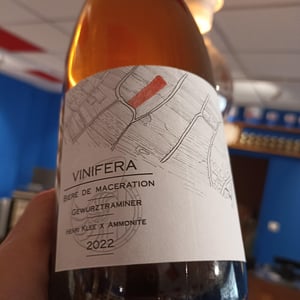 Vinifera (X Brasserie Ammonite) - Domaine Henri Klee - Henri Klee -2022