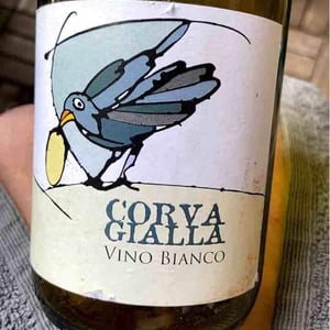 Vino Bianco - Azienda Agricola Corvagialla - beatrice-arweiler