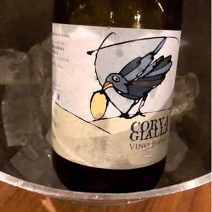 Azienda Agricola Corvagialla - Beatrice Arweiler - Vino Bianco