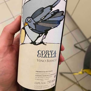 Vino Bianco - Azienda Agricola Corvagialla - Beatrice Arweiler 